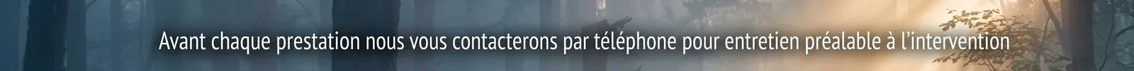 Promotion